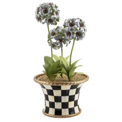 MacKenzie-Childs Spring|Greenery & Florals<Botany Potted Hyacinth Arrangement