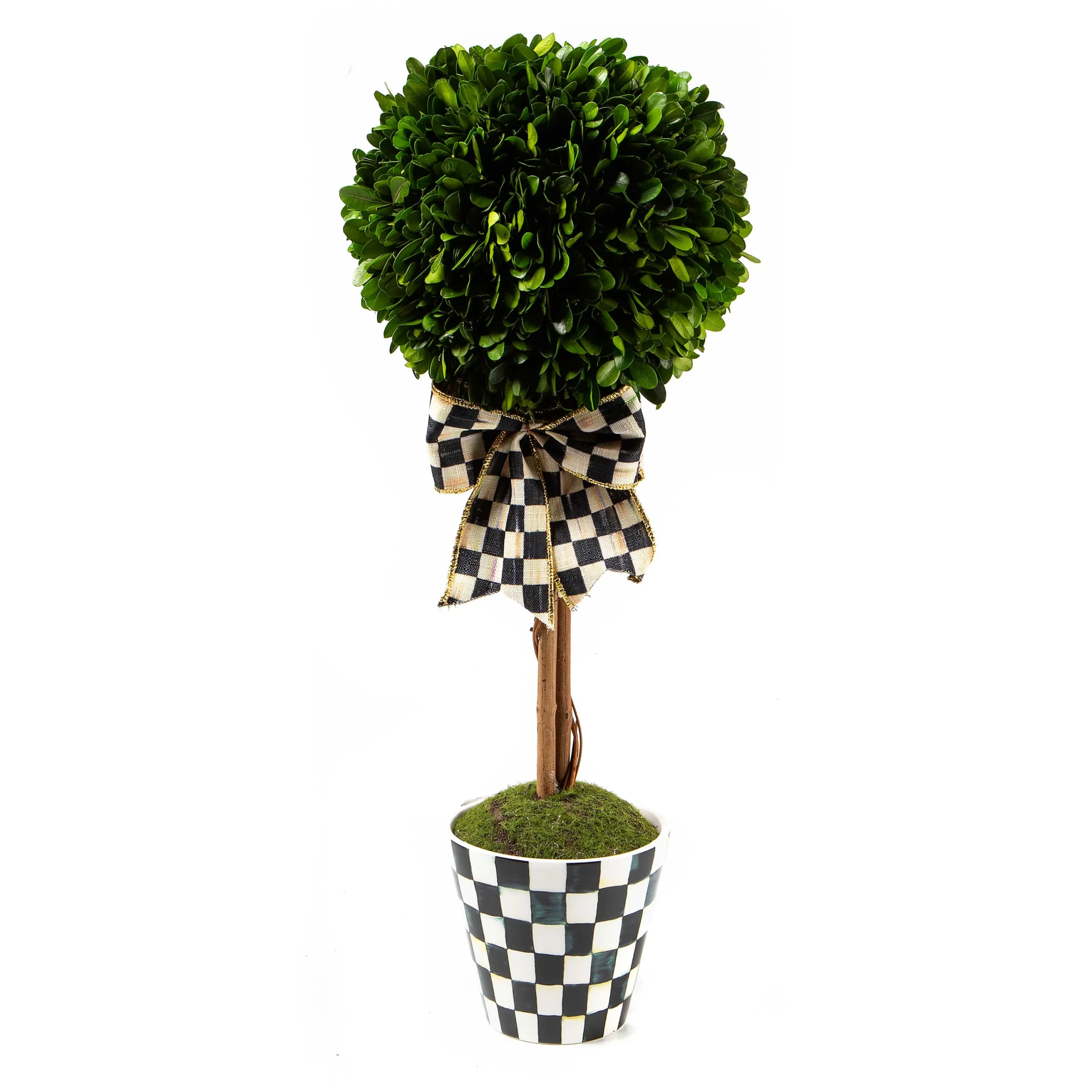 MacKenzie-Childs Spring|Greenery & Florals<Courtly Boxwood Topiary Small Drop In