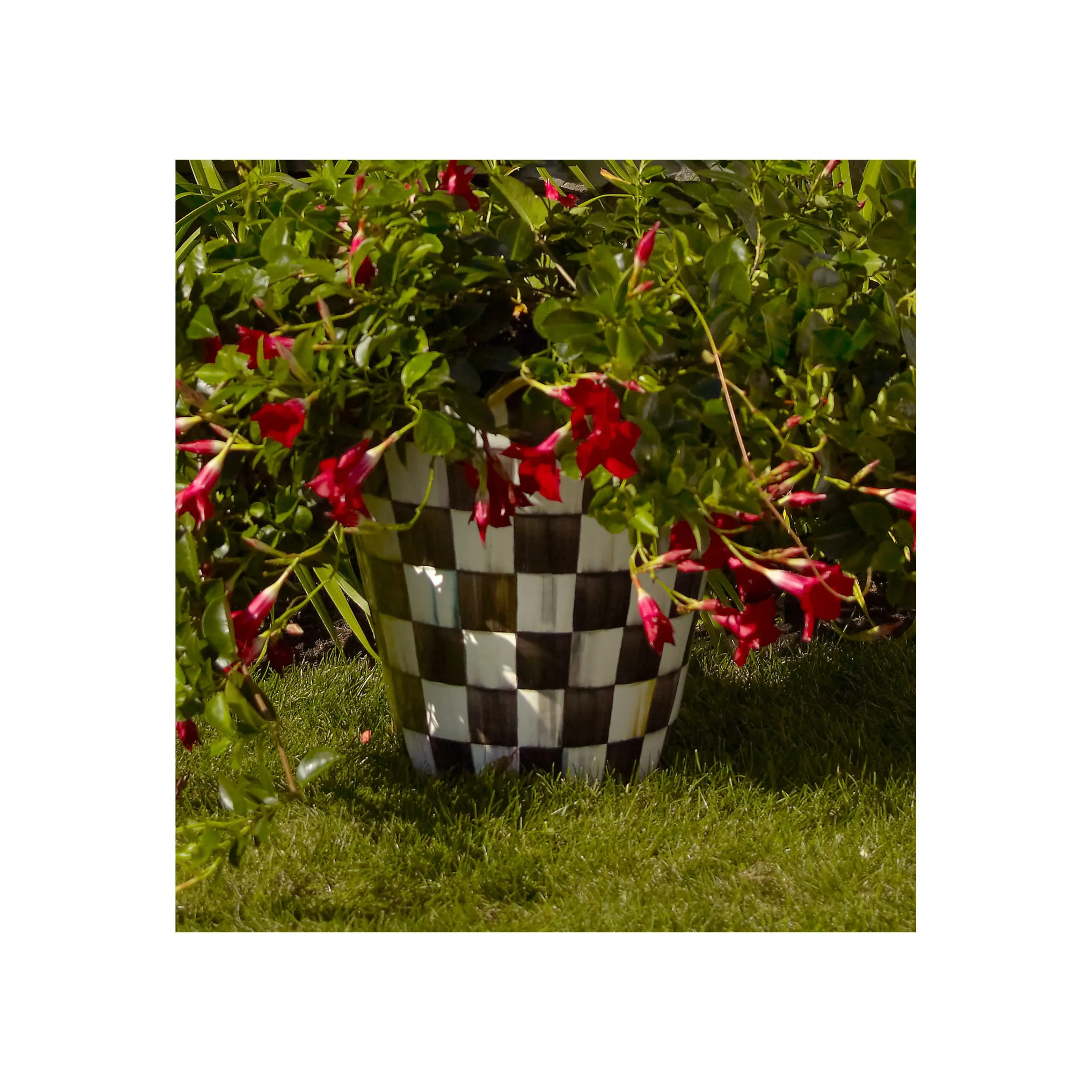 MacKenzie-Childs Outdoor<Courtly Check Ceramic Jumbo Garden Pot