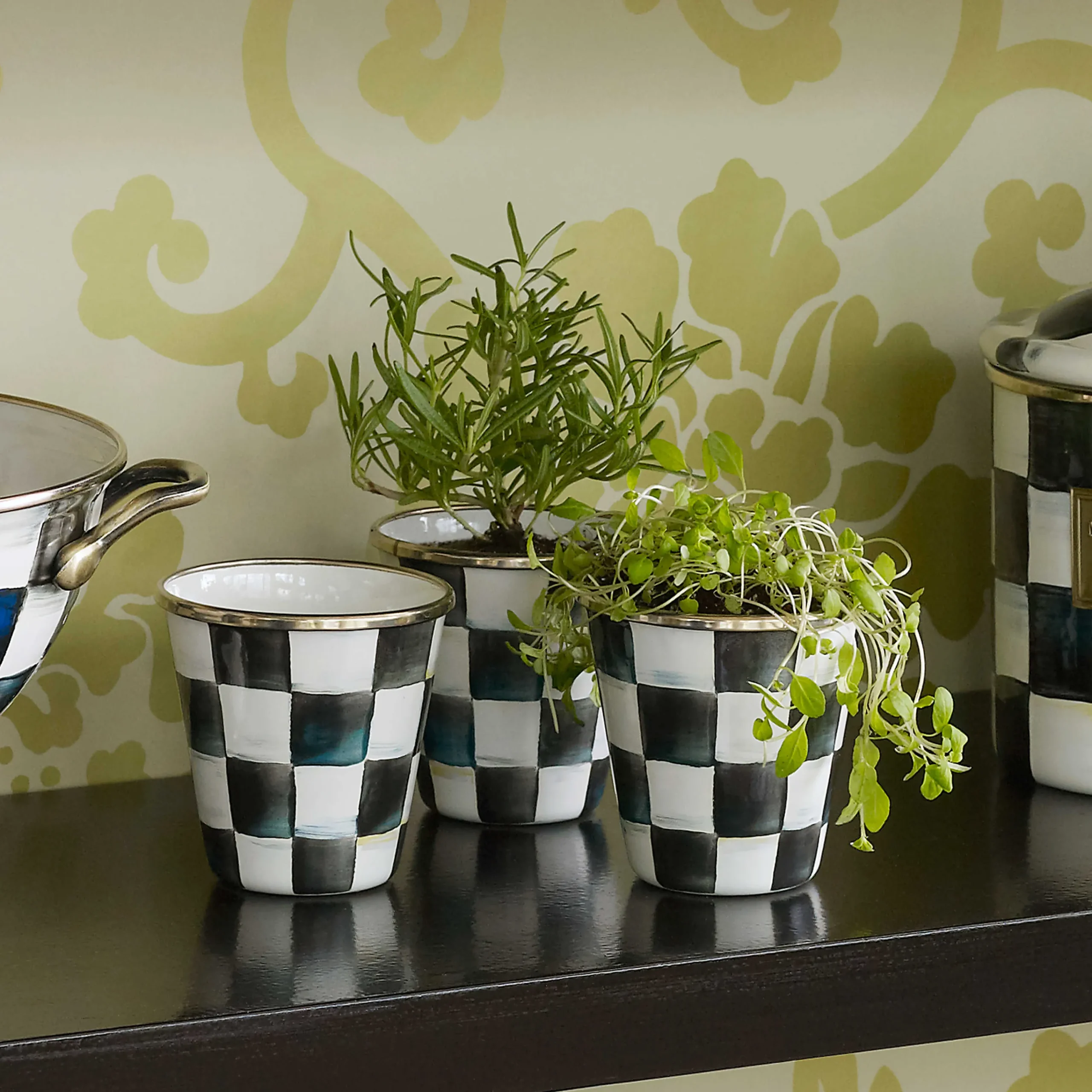 MacKenzie-Childs Spring|The Fall Shop<Courtly Check Herb Pots, Set of 3