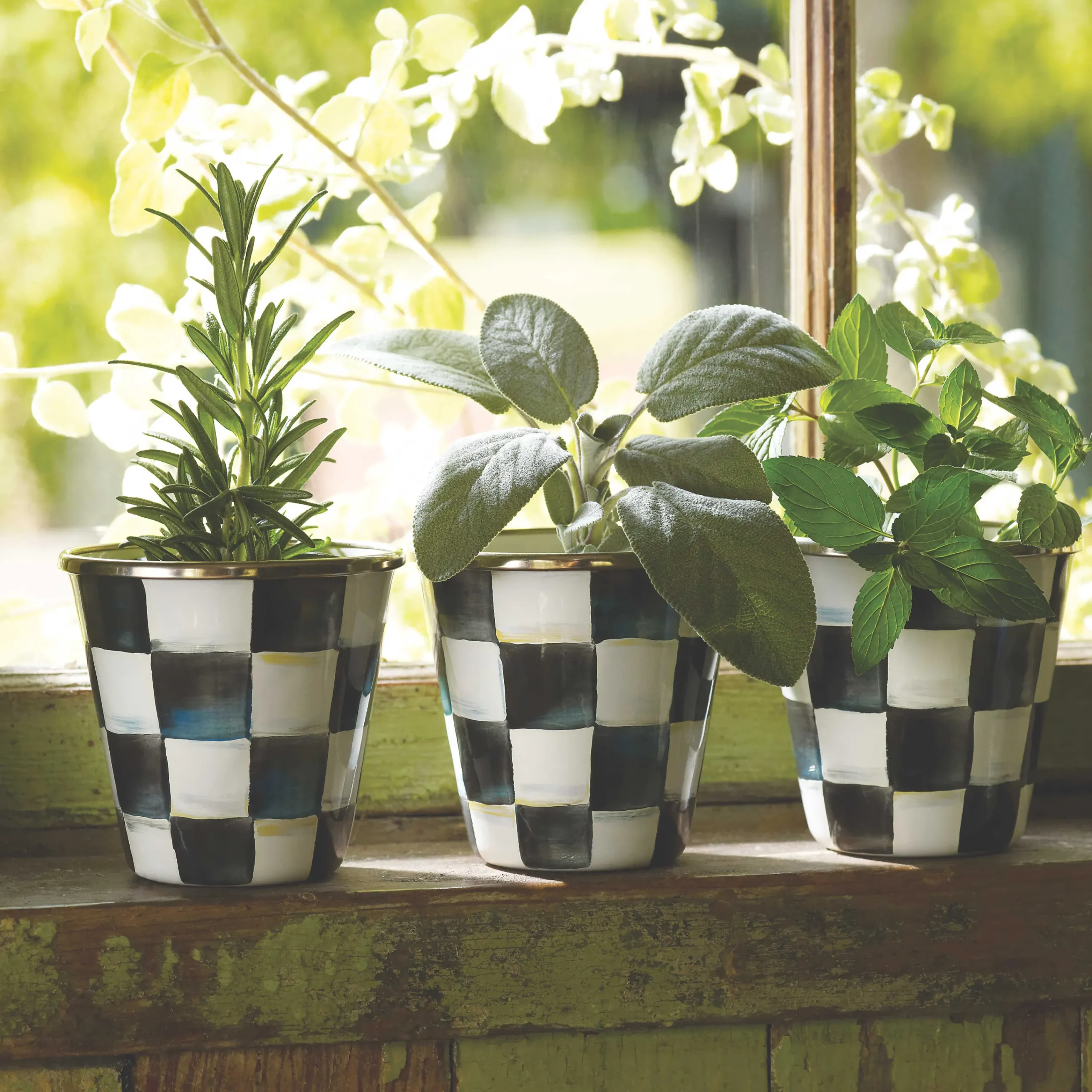 MacKenzie-Childs Spring|The Fall Shop<Courtly Check Herb Pots, Set of 3