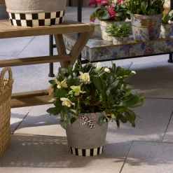 MacKenzie-Childs Spring|Greenery & Florals<Maia Small Pot