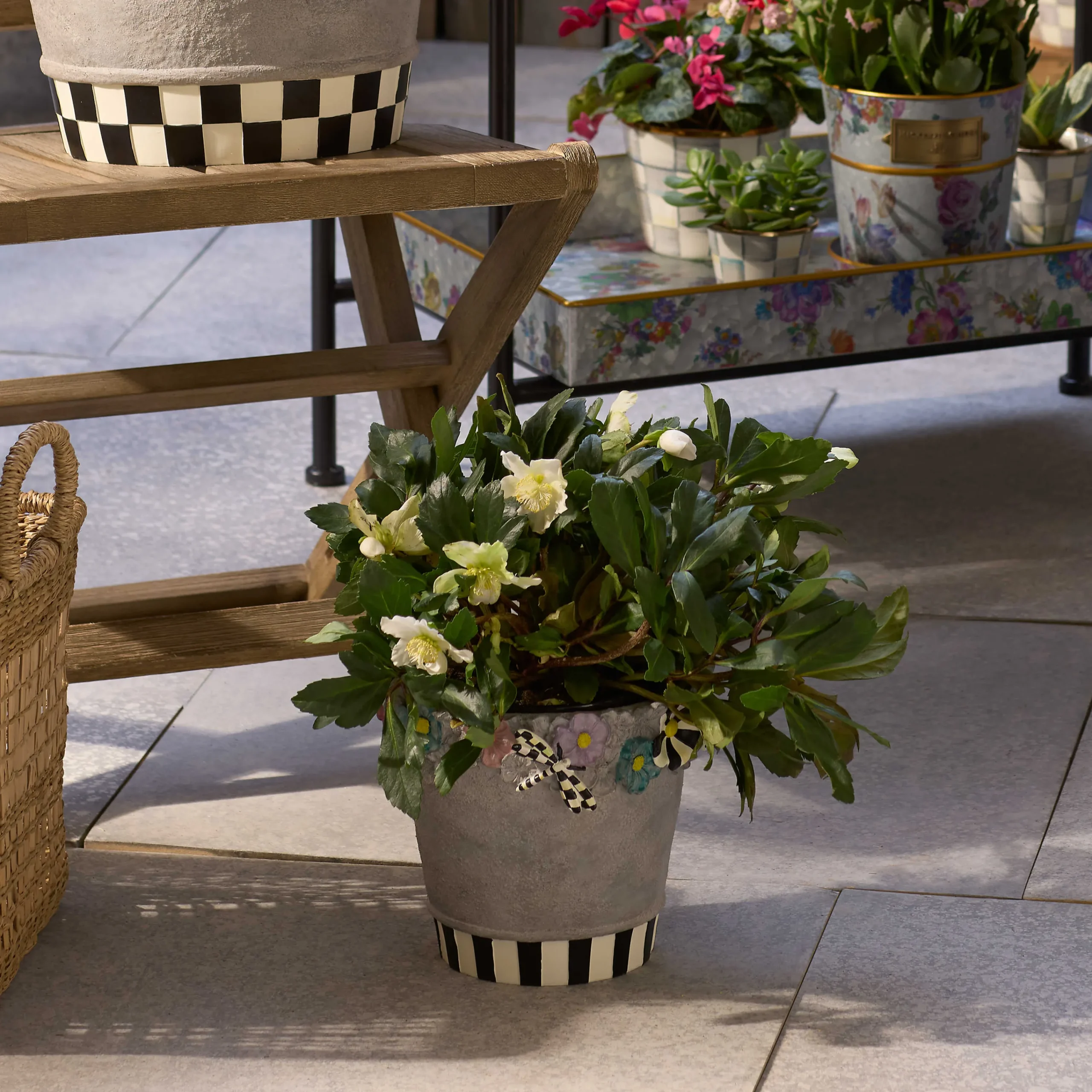 MacKenzie-Childs Spring|Greenery & Florals<Maia Small Pot