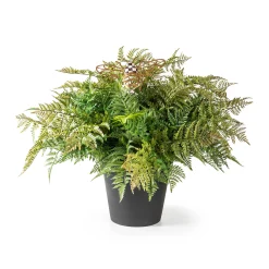 MacKenzie-Childs Spring|Greenery & Florals<Potted Large Fern With Bee